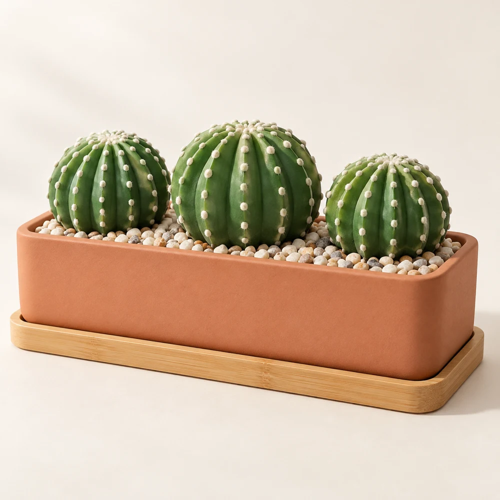 Paperweight Garden in Clay